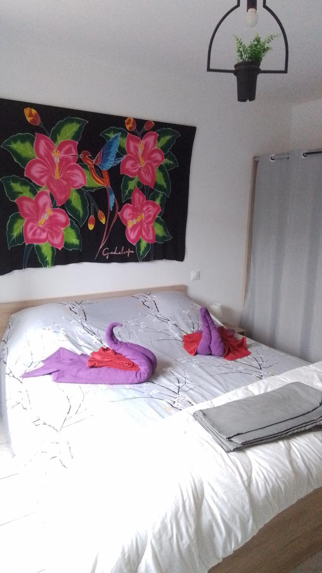 Appartement La Tortue Passa