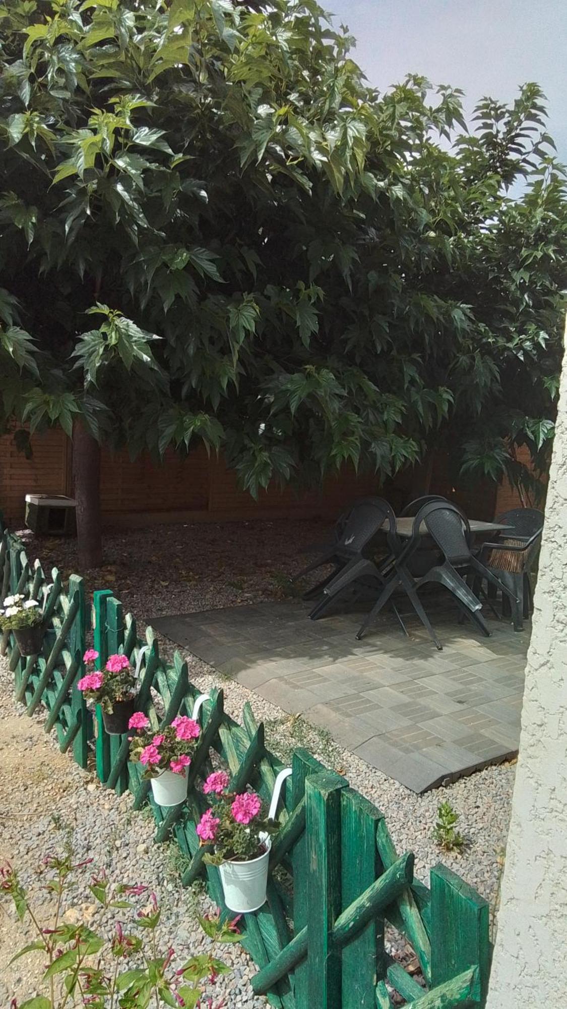 Apartment La Tortue
